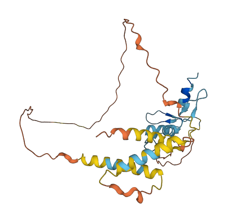 KLF6 3D structure