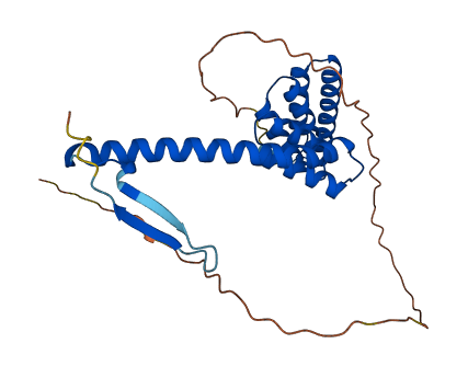 TTC1 3D structure