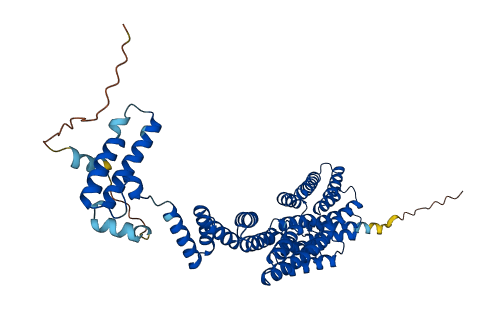 DNAJC7 3D structure