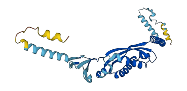 PHB2 3D structure
