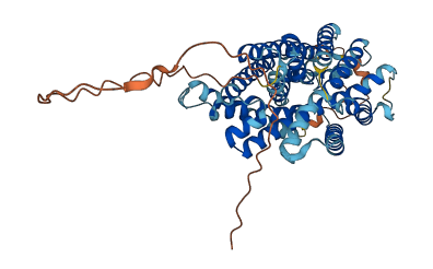 SLC38A3 3D structure