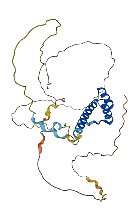 CDX2 3D structure