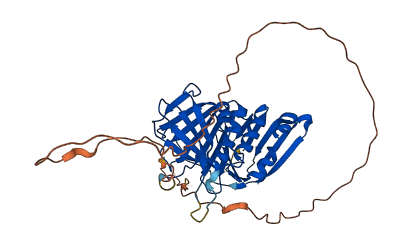 RAD9A 3D structure
