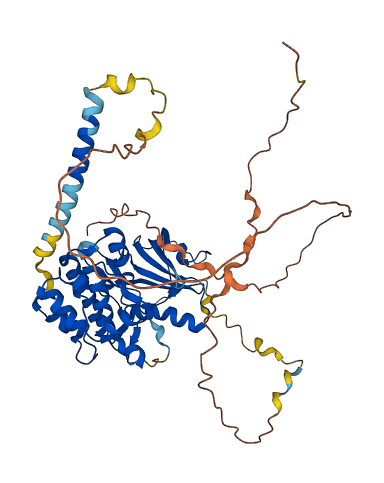 PKMYT1 3D structure