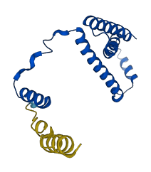 SDHC 3D structure