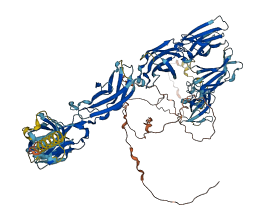 OSMR 3D structure