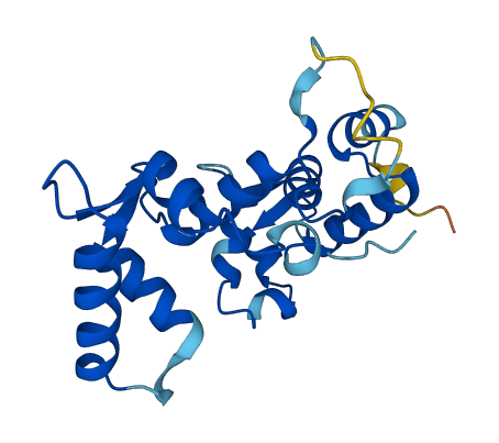 CHP1 3D structure