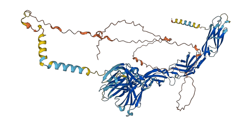 IL12RB2 3D structure