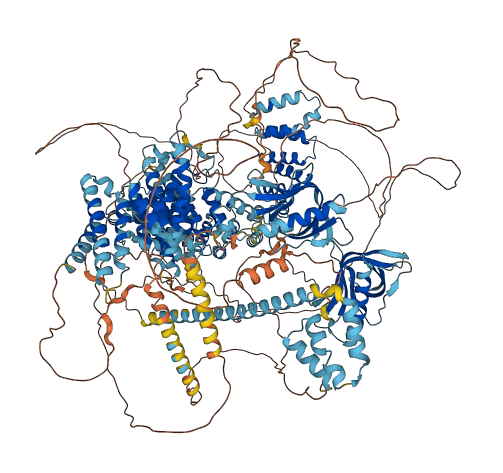 RGPD5 3D structure