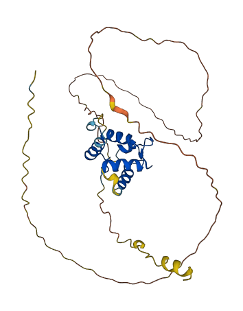 CGREF1 3D structure