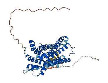 LPAR4 3D structure