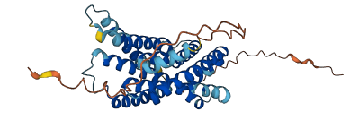 GPR20 3D structure
