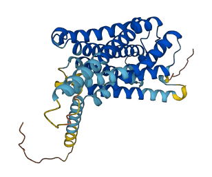 GPR21 3D structure