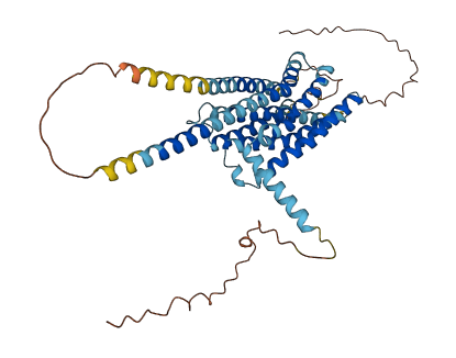 GPR22 3D structure