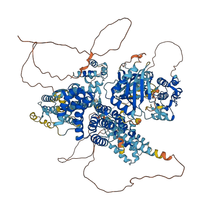 MAP3K5 3D structure
