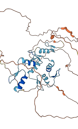 GFI1 3D structure