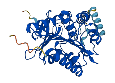 MGLL 3D structure