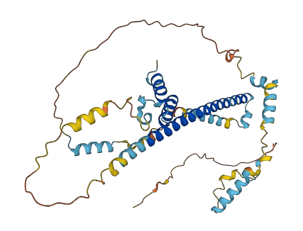 FEZ1 3D structure