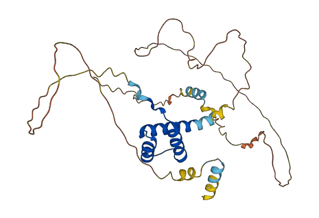 PITX2 3D structure