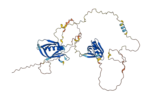 DOK1 3D structure