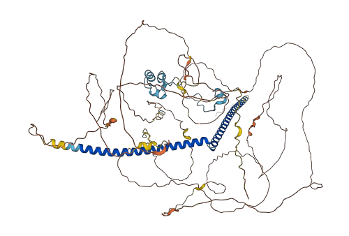 RBBP8 3D structure