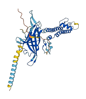 KCNJ15 3D structure