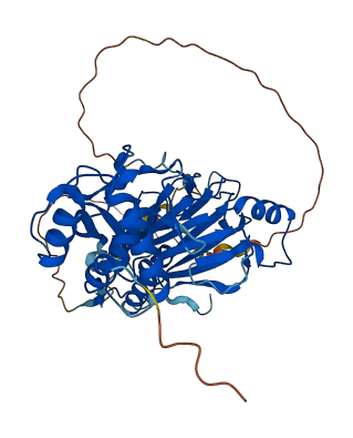 SMAD5 3D structure