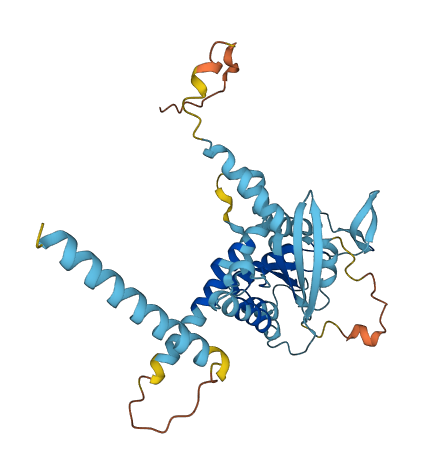 SEPTIN5 3D structure