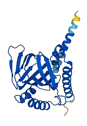 SIGMAR1 3D structure