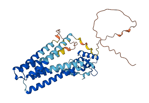 SLC30A3 3D structure