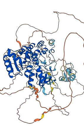 BARD1 3D structure