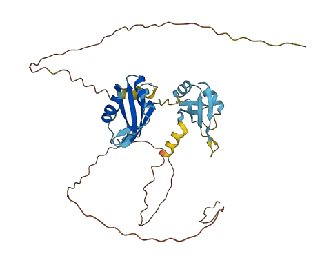 HNRNPAB 3D structure