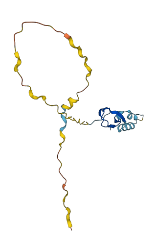 LITAF 3D structure