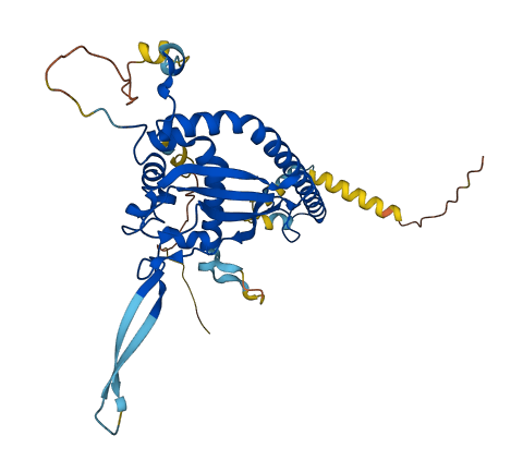 NAP1L4 3D structure