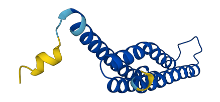 MGST2 3D structure