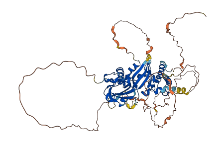 NPAS1 3D structure