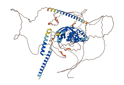NPAS2 3D structure