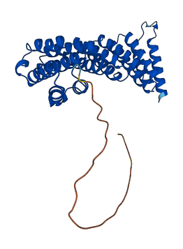 NAPG 3D structure