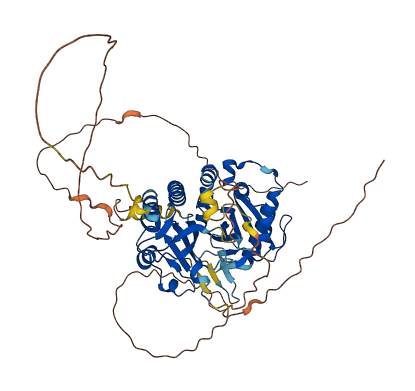 PIP5K1A 3D structure