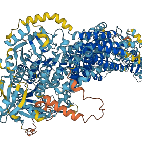 ABCA3 3D structure