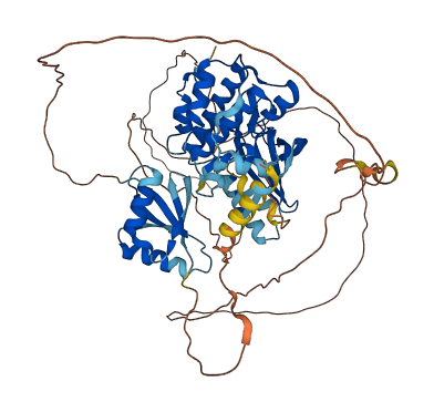MAP3K3 3D structure