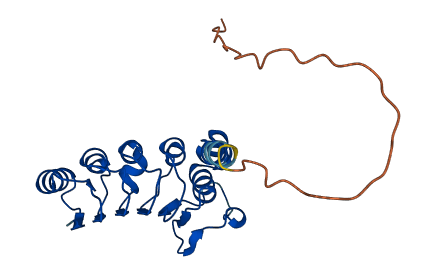 DMAC2L 3D structure