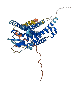 CMKLR1 3D structure