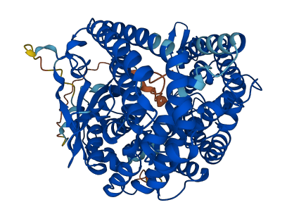 MIPEP 3D structure