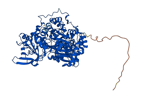 ACO2 3D structure