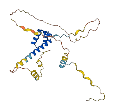 NKX3-1 3D structure