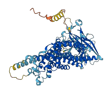 TM9SF2 3D structure