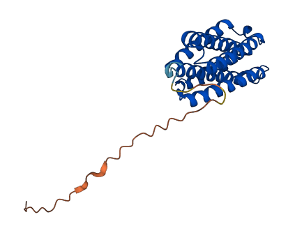 COQ7 3D structure