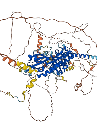 EPAS1 3D structure
