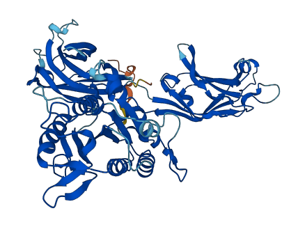 CPNE1 3D structure